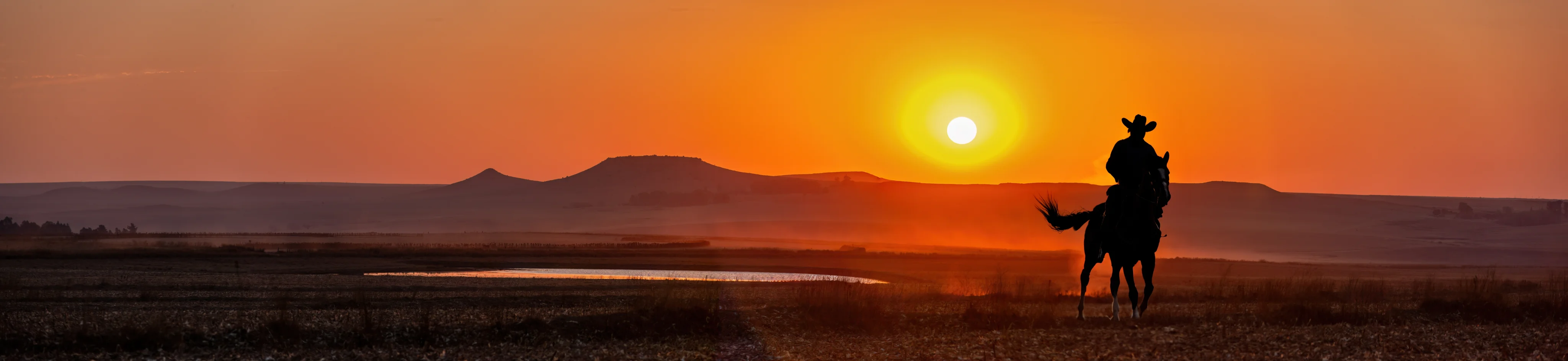 Texas sunset landscape with cowboy silhouette